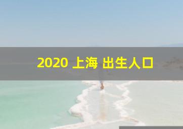 2020 上海 出生人口